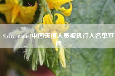 阜宁中国失信人员被执行人名单查询