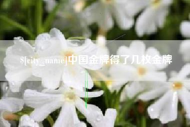 阜宁中国金牌得了几枚金牌