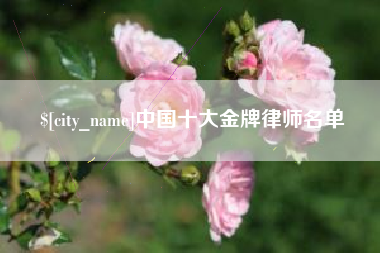 阜宁中国十大金牌律师名单