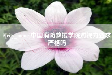 阜宁中国消防救援学院对视力要求严格吗