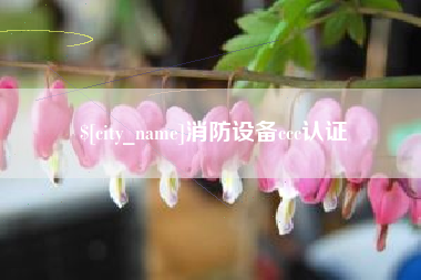 阜宁消防设备ccc认证