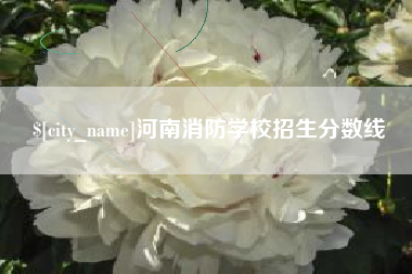 阜宁河南消防学校招生分数线