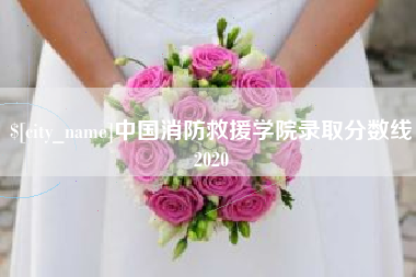 阜宁中国消防救援学院录取分数线2020