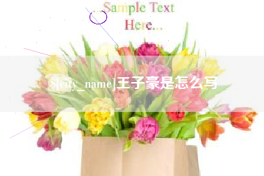 阜宁王子豪是怎么写
