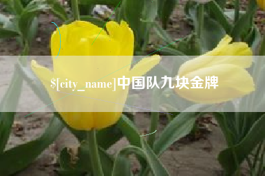 阜宁中国队九块金牌