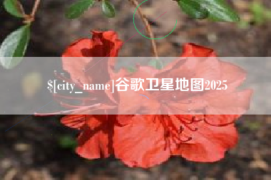 阜宁谷歌卫星地图2025