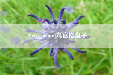 阜宁九宫格盘子