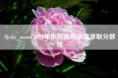 阜宁2021年中国消防学院录取分数线