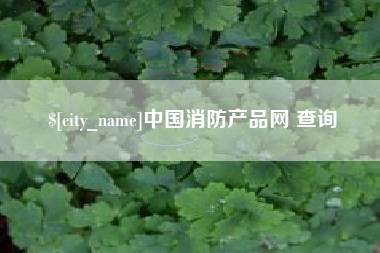 阜宁中国消防产品网 查询