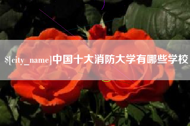 阜宁中国十大消防大学有哪些学校