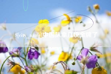 阜宁中国队拿几块金牌了