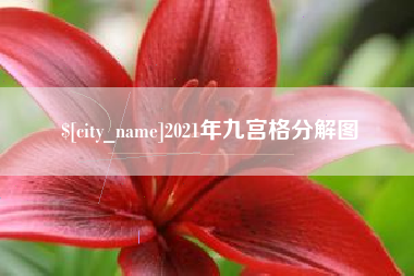 阜宁2021年九宫格分解图