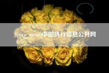阜宁中国执行信息公开网