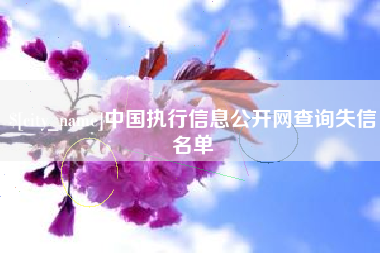 阜宁中国执行信息公开网查询失信名单