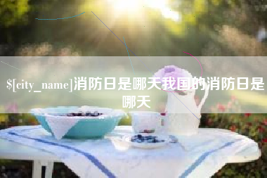 阜宁消防日是哪天我国的消防日是哪天