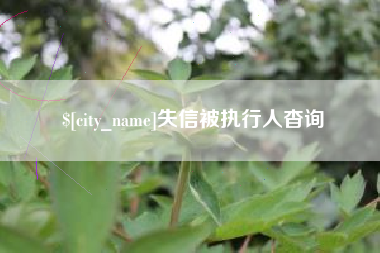 阜宁失信被执行人杳询
