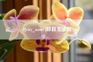 阜宁邱县王子磊