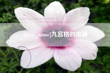 阜宁九宫格的来源
