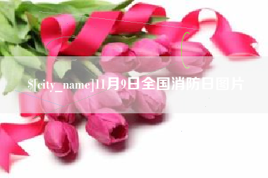 阜宁11月9日全国消防日图片