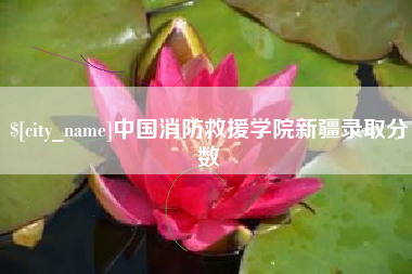 阜宁中国消防救援学院新疆录取分数