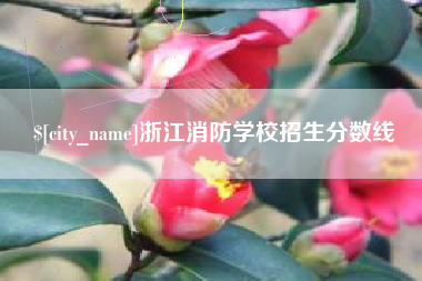 阜宁浙江消防学校招生分数线