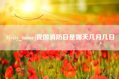 阜宁我国消防日是哪天几月几日