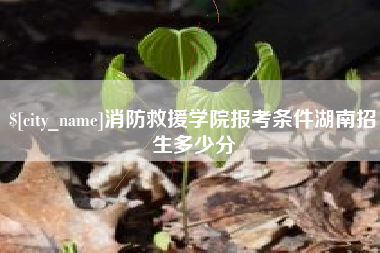 阜宁消防救援学院报考条件湖南招生多少分
