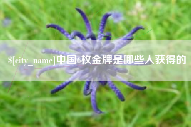 阜宁中国6枚金牌是哪些人获得的