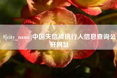 阜宁中国失信被执行人信息查询公开网址