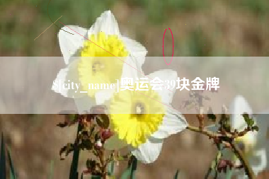 阜宁奥运会39块金牌