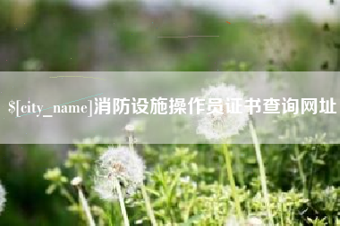 阜宁消防设施操作员证书查询网址