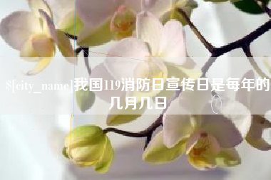 阜宁我国119消防日宣传日是每年的几月几日