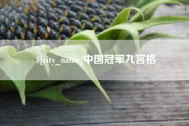 阜宁中国冠军九宫格