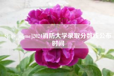 阜宁2024消防大学录取分数线公布时间