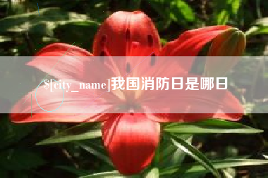 阜宁我国消防日是哪日
