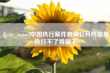 阜宁中国执行案件查询公开网都是执行不了得案子