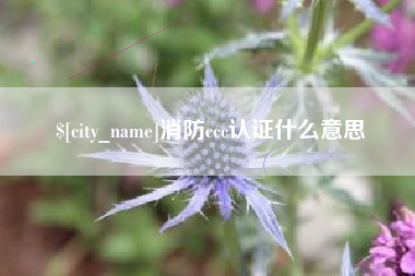 阜宁消防ccc认证什么意思