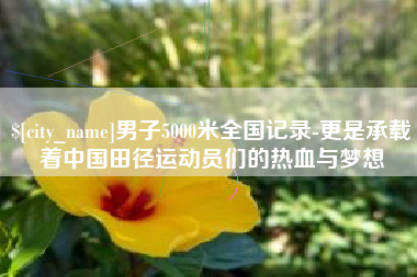 阜宁男子5000米全国记录-更是承载着中国田径运动员们的热血与梦想