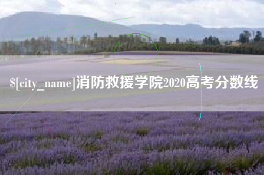 阜宁消防救援学院2020高考分数线
