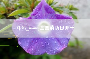 阜宁全国消防日哪一