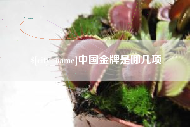 阜宁中国金牌是哪几项