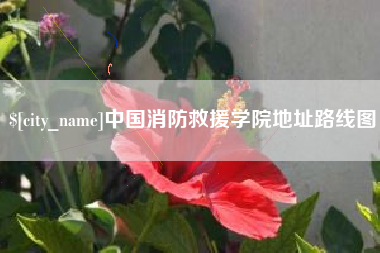 阜宁中国消防救援学院地址路线图
