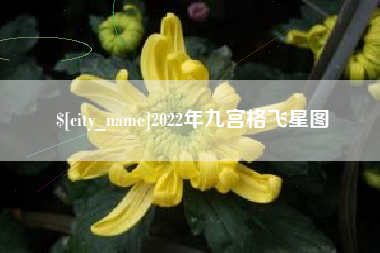 阜宁2022年九宫格飞星图