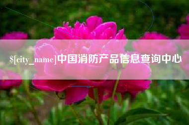 阜宁中国消防产品信息查询中心