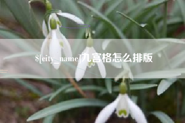 阜宁九宫格怎么排版