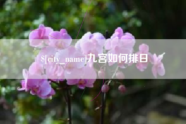 阜宁九宫如何排日