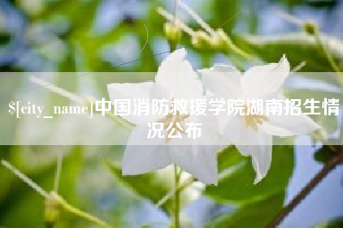 阜宁中国消防救援学院湖南招生情况公布