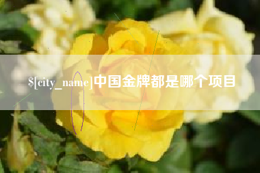 阜宁中国金牌都是哪个项目