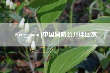 阜宁中国消防公开课回放