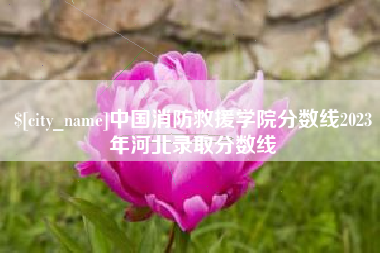 阜宁中国消防救援学院分数线2023年河北录取分数线